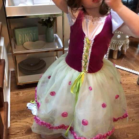 Girls 4T costume / party / fancy dress. - Picture 5 of 6